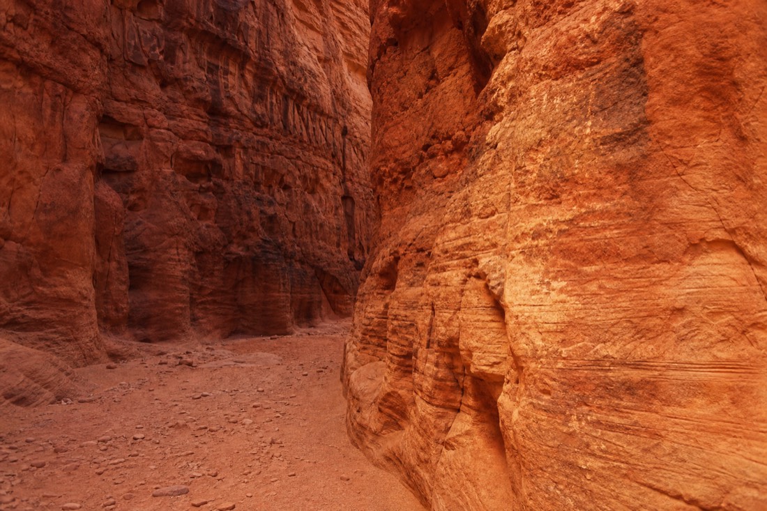 Photographer framing a shot of empty canyon walls with warm light and no other visitors